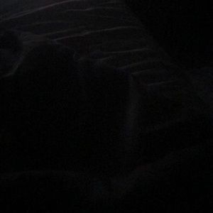 Meet your Posher, Steve